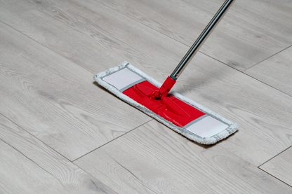 Microfiber Cleaning Mop